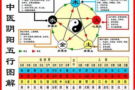 1984年五行缺什么|1984年4月5日出生是什么命，五行缺什么？